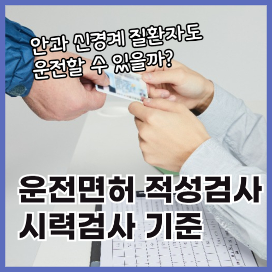 운전면허적성검사기준