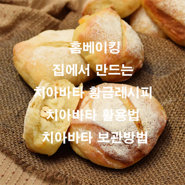 홈베이킹 집에서 만드는 치아바타 황금레시피 치아바타 활용법 치아바타 보관방법