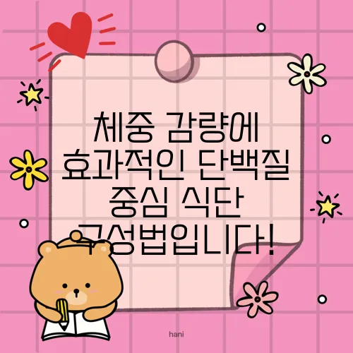 체중 감량에 효과적인 단백질 중심 식단 구성법입니다!
