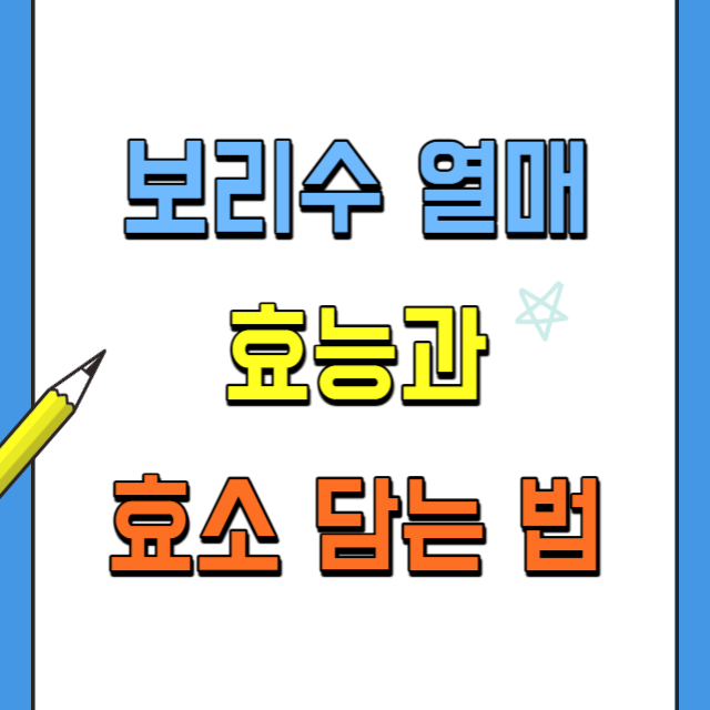 보리수열매효능과-효소담는법