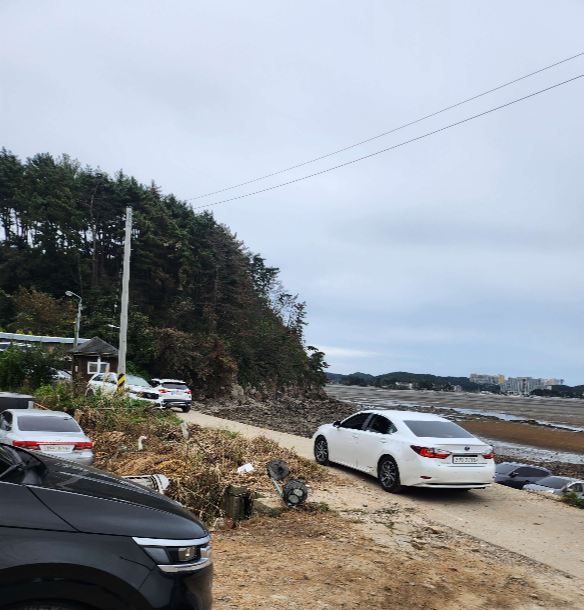 진산리어촌계갯벌체험