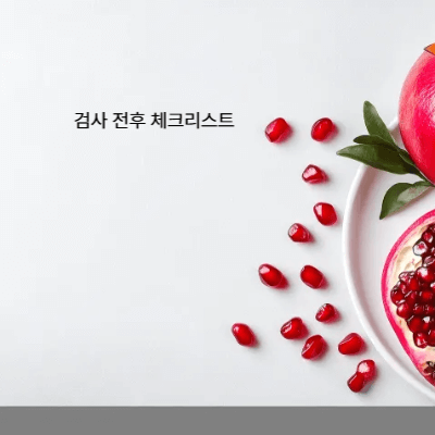 검사 전후 체크리스트