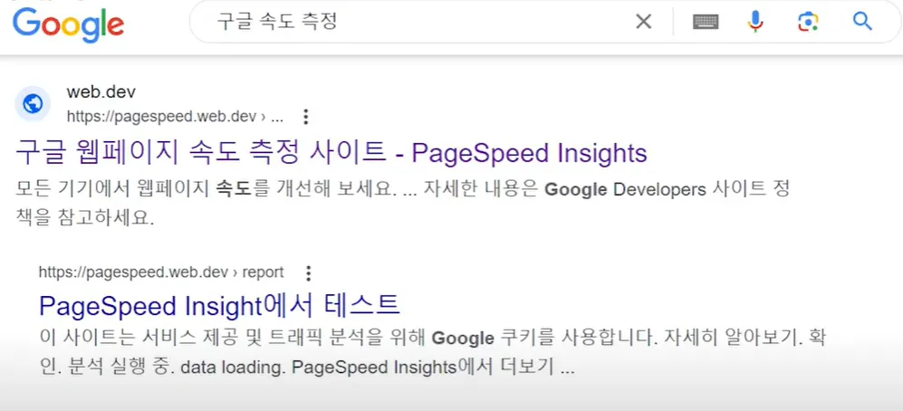 구글 속도 측정하기