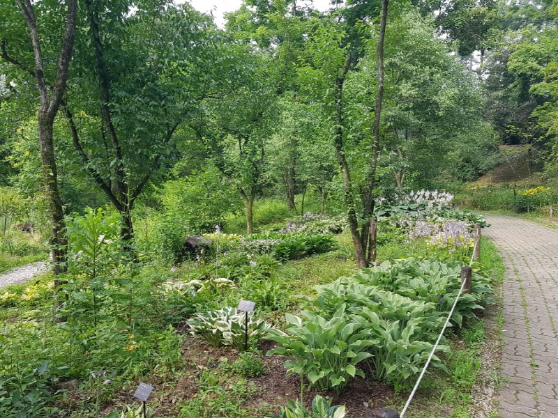 포천 국립수목원 광릉수목원 예약