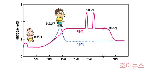 연령별 철분의 요구량_이미지출처:국가건강정보포털