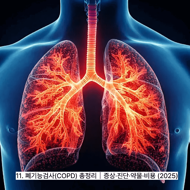 11. 폐기능검사(COPD) 총정리｜증상&middot;진단&middot;약물&middot;비용 (2025)