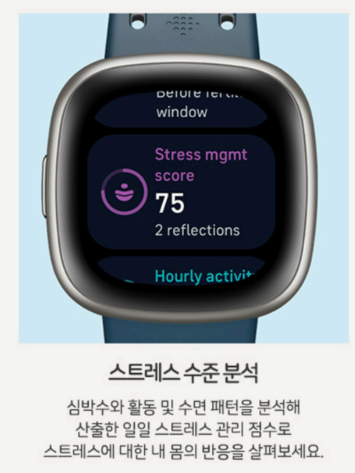 스마트워치 추천 핏빗 버사 기능 사진
