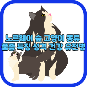 노르웨이 숲 고양이 종류 품종 특징 성격 건강 유전병