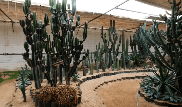 실외동물원-식물원