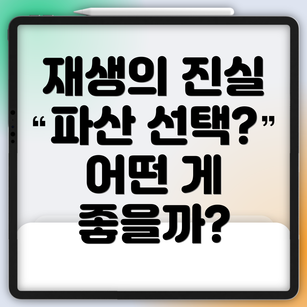개인 재생