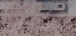 Tile 13
