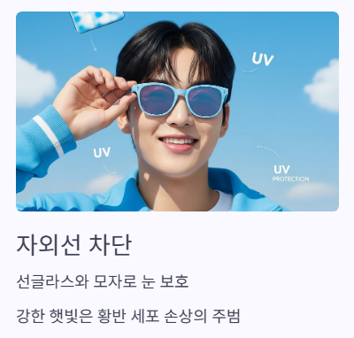 자외선차단