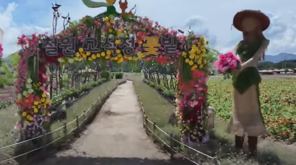 꽃밭에서 산책하는 커플 모습