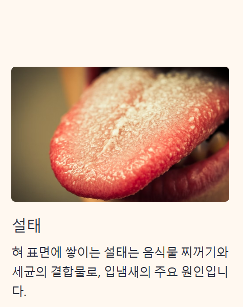 입냄새