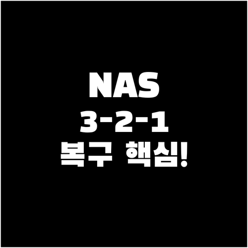 NAS 데이터의 중앙 집중화와 안전한..