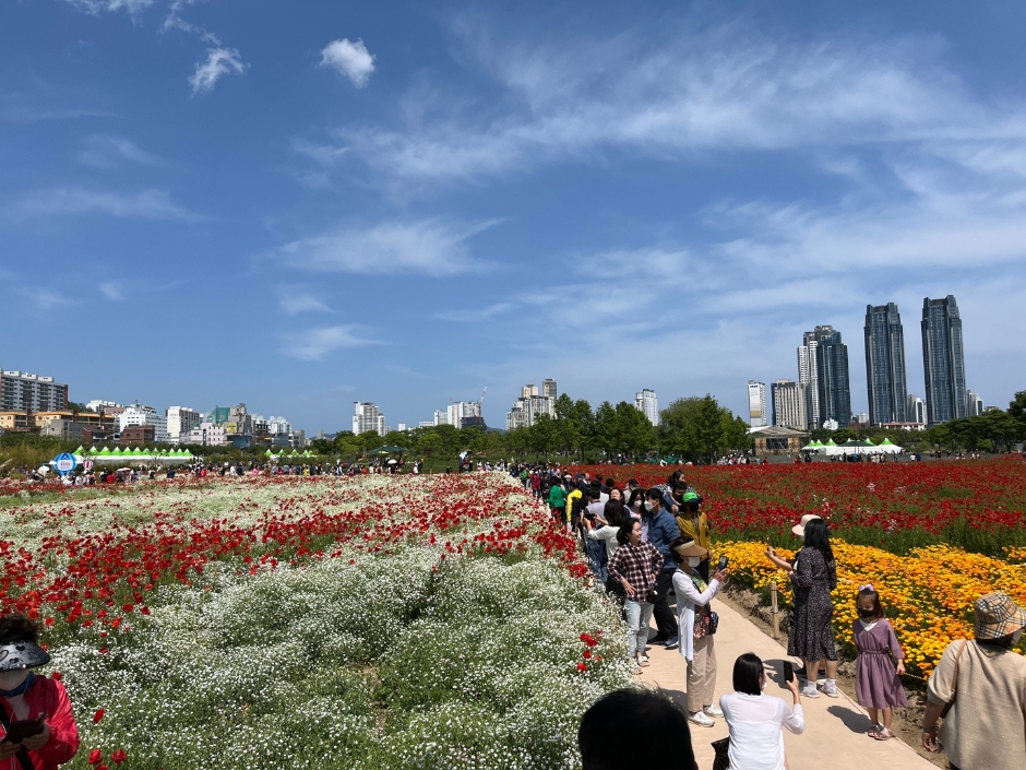 울산-태화강국가정원의-봄꽃축제