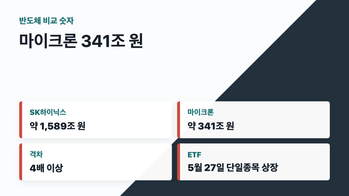 마이크론 시가총액 341조 원과 삼성전자 SK하이닉스 단일종목 레버리지 ETF 상장 카드