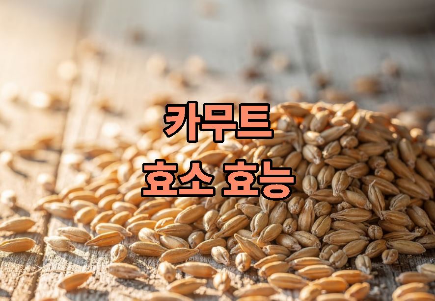 카무트 효소 효능