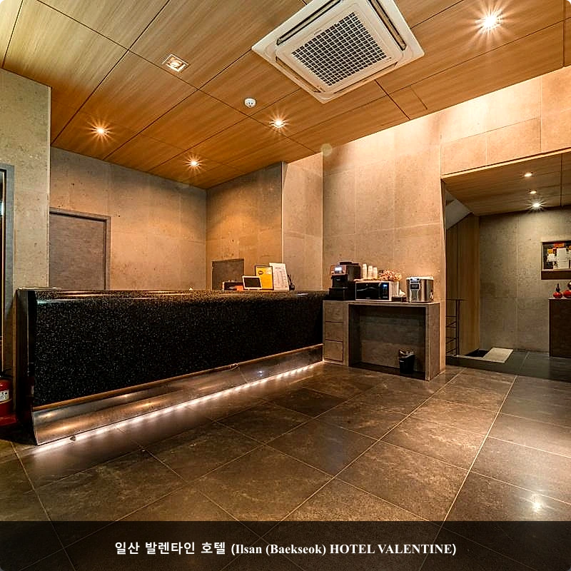 일산 발렌타인 호텔 (Ilsan (Baekseok) HOTEL VALENTINE)_3