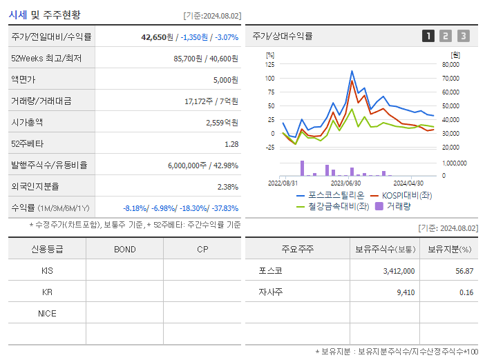 포스코스틸리온_기업개요