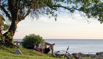 직장인을 위한 회복 독서루틴 (스트레스관리, 자기계발, 마인드풀) 에 관련 사진