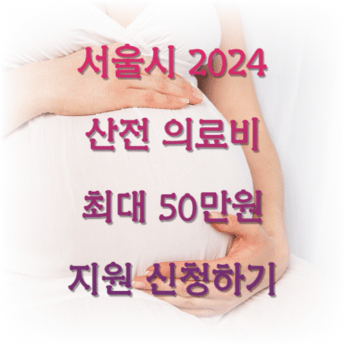 서울시 2024 산전 의료비최대 50만원 지원 신청하기