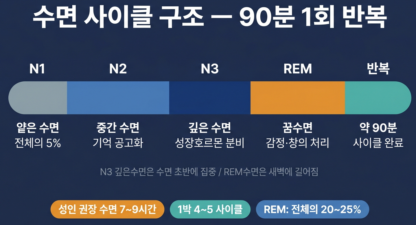 수면 사이클 최적화 방법