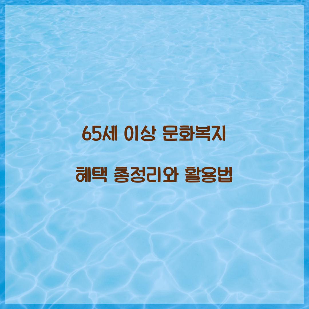 65세 이상 문화복지