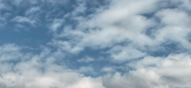 Alt 속성 문제 해결 설명 이미지