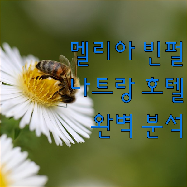 나트랑 최고의 호텔 멜리아 빈펄 엠파..