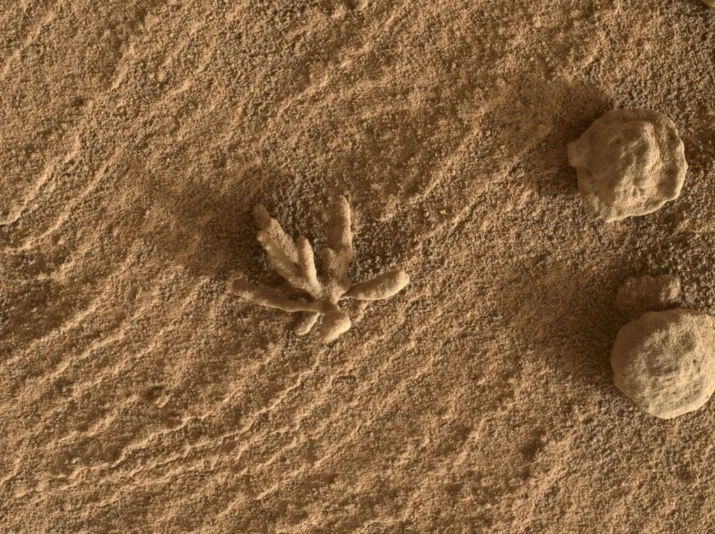 화성에서 생명체 발견 NASA 발표 정리_5