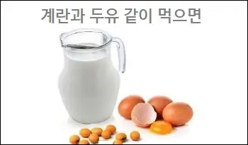 계란과 두유 같이 먹으면