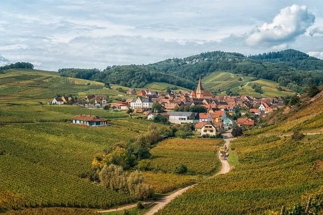 알자스 숨겨진 마을 독일 프랑스 퓨전 요리 맛집_6