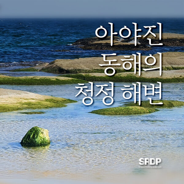아야진-해변-해수욕장-스위밍터틀-강원도-고성-오션뷰-카페