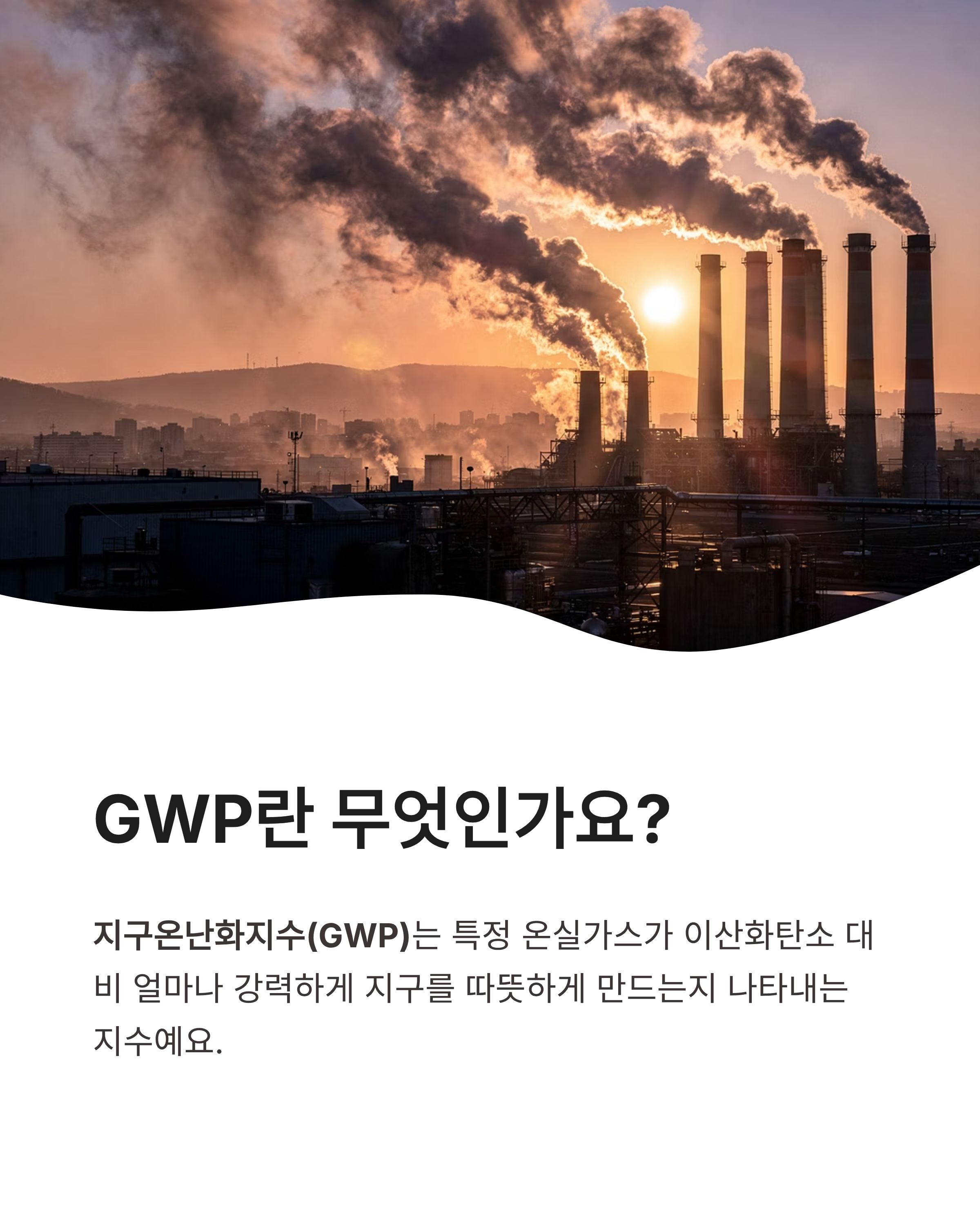 7월 14일 기후동행(기후행동) 퀴즈정답 완벽정리!!