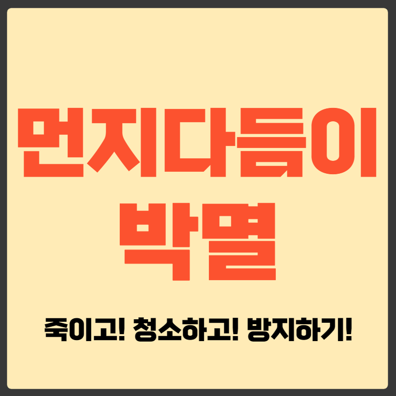 먼지다듬이