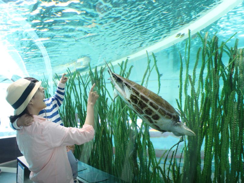 국립해양박물관