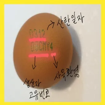 유통기한 구분 소비기한 품질유지기한 보관온도 버리는 기준_22