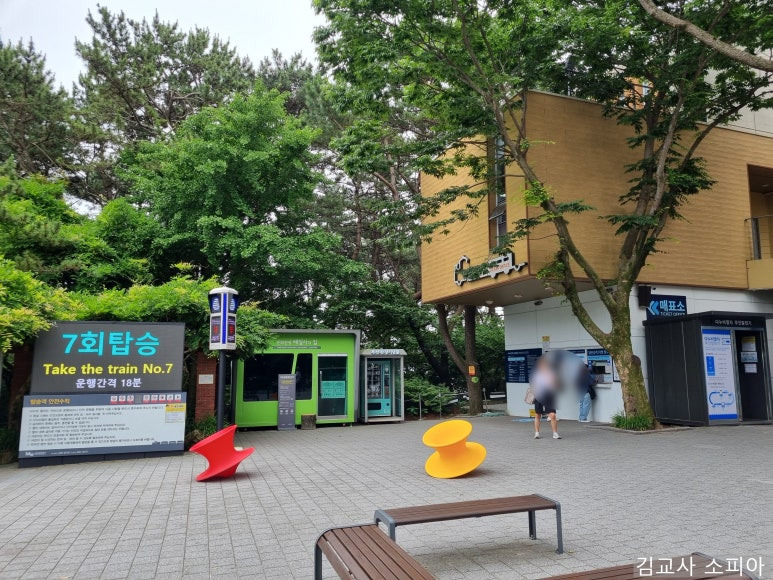 부산 태종대 폭염 여행 리얼후기🌊 여름 필수템 8가지 추천