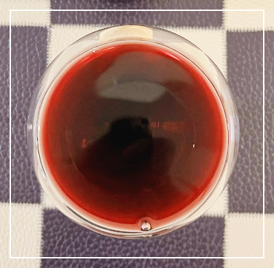 실키앤스파이스 포루투칼와인