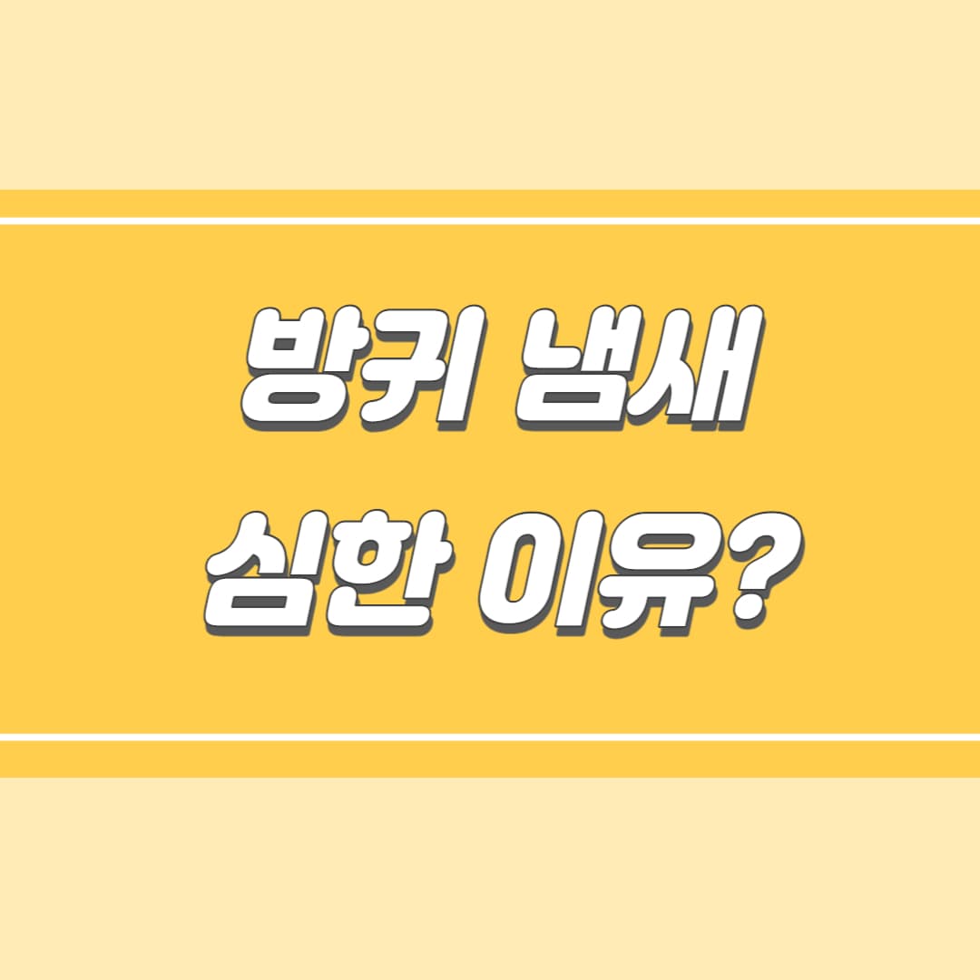 방귀 냄새 이유