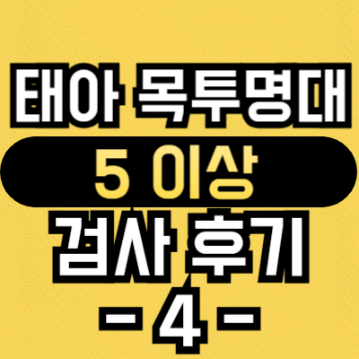 태아-목투명대-5-이상-검사-후기-4