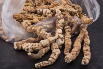 백수오 효능 및 영양성분&amp;#44; 주의점