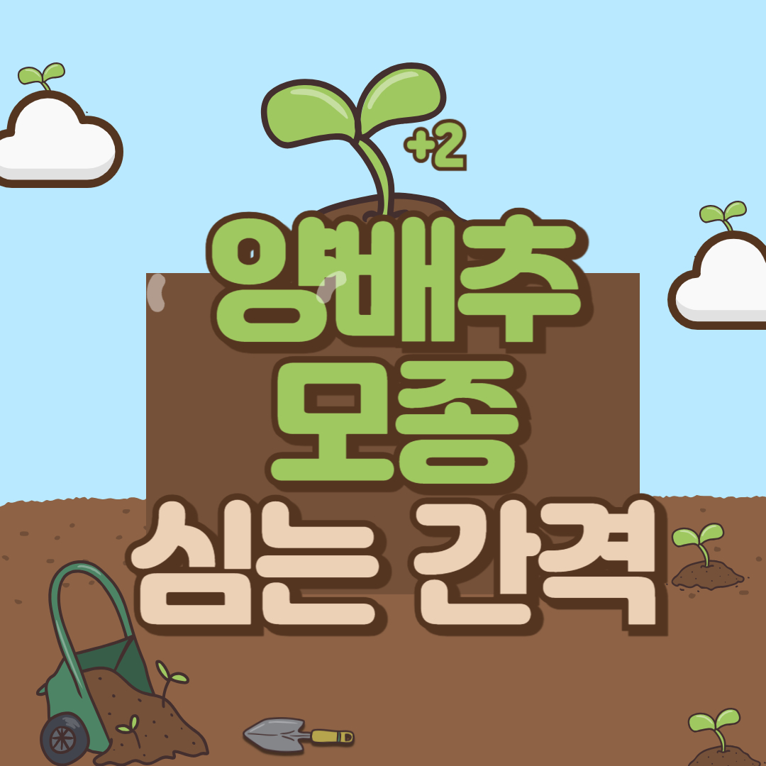 양배추 모종 심는 간격