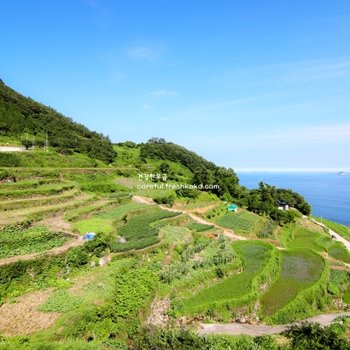 남해 가볼만한곳 베스트10