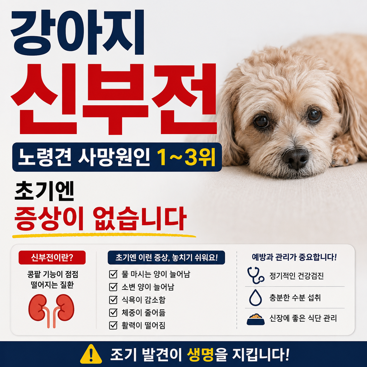 강아지 신부전