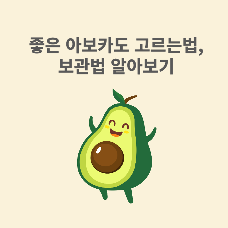 좋은 아보카도 고르는법, 보관법 알아보기