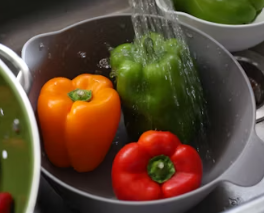 비타민C 많은 음식 (식품 과일 채소)