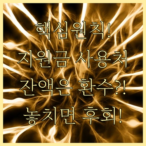 긴급재난지원금 사용처 제한 핵심 원칙..