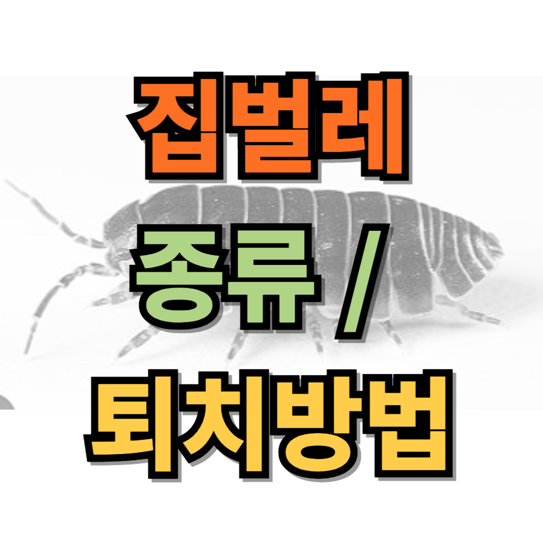 집벌레 종류 및 퇴치법
